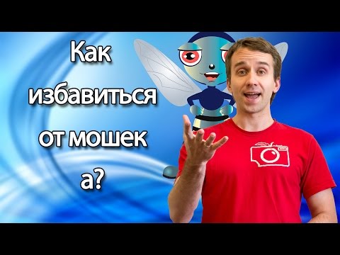 Как избавится от мошек на кухне, а?