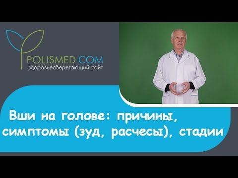 Головной педикулез (вшивость): причины, симптомы (зуд, расчесы), стадии