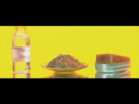 как избавиться от клопов за 3 минуты, уничтожение