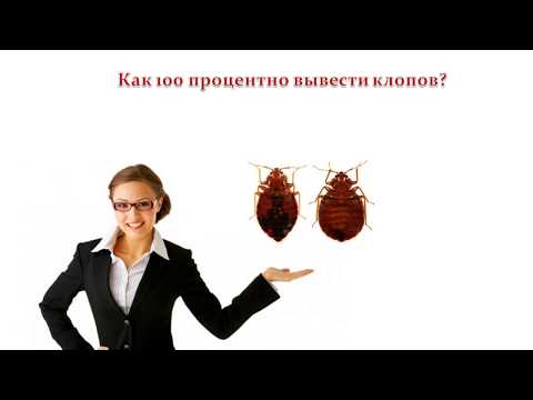 Как 100 процентно вывести клопов?