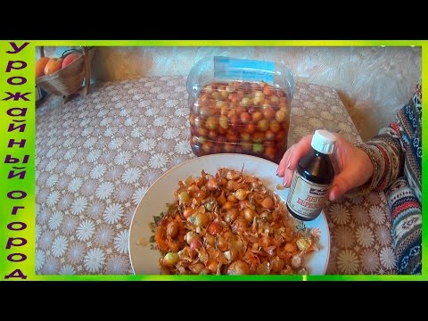 СУПЕР СРЕДСТВО ОТ ЛУКОВОЙ МУХИ!!!