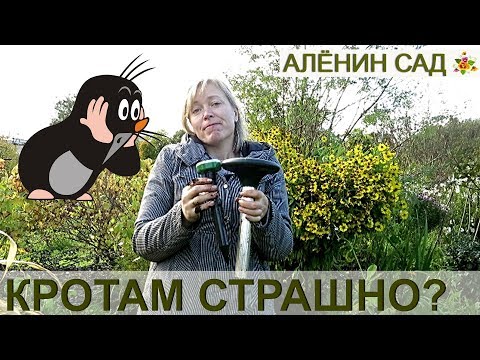 Чем напугать кротов? Мышей, крыс, слепышей...