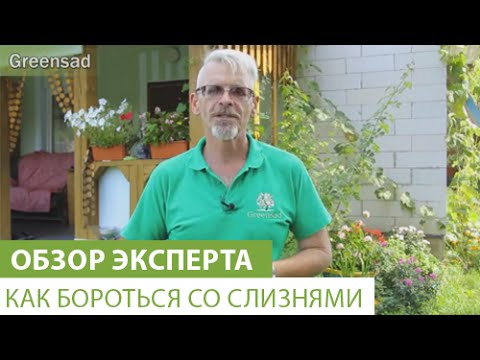 Как бороться со слизнями