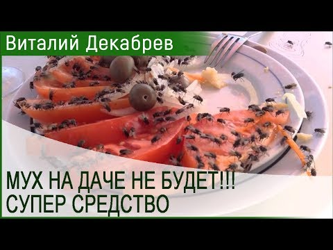 МУХ НА ДАЧЕ НЕ БУДЕТ! СУПЕР СРЕДСТВО