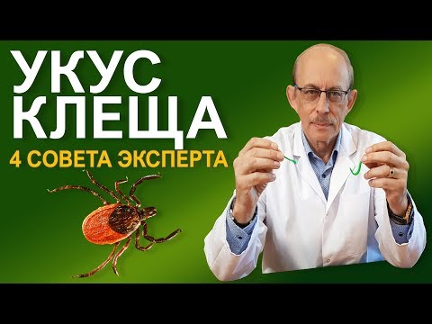 Что делать если Вас укусил клещ - последние Европейские рекомендации CDC и IDSA