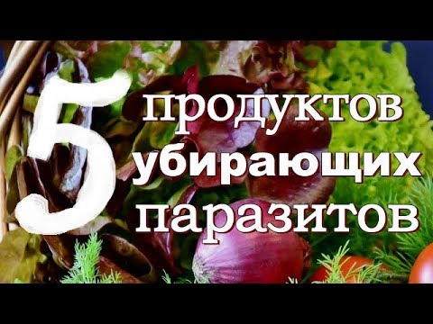 ТОП 5 Продуктов УБИРАЮЩИХ ПАРАЗИТОВ Навсегда! Как быстро вывести паразитов из организма.