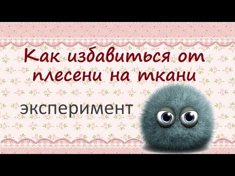 Как избавиться от плесени на ткани// Эксперимент