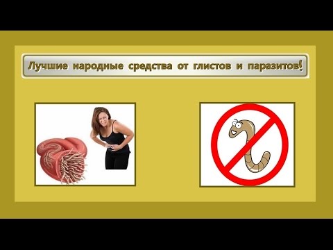 Лучшие народные средства от глистов и паразитов!