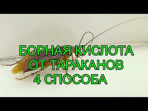 Как Избавиться от Тараканов. Борная Кислота 4 Способа.