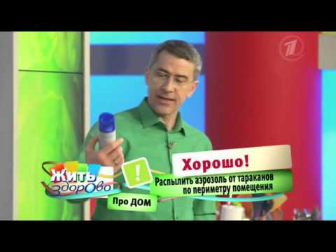 Жить здорово! Как избавиться от тараканов 04 06 2014