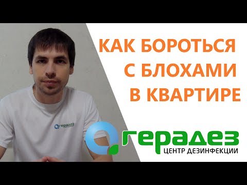 Как избавиться от блох в доме БЫСТРО и НАВСЕГДА (комплексный подход)