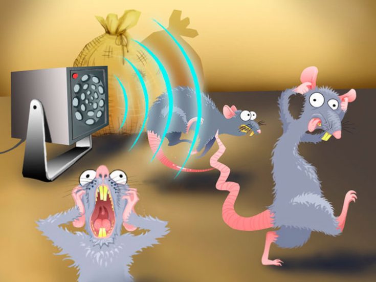 Ультразвуковой отпугиватель крыс и мышей
