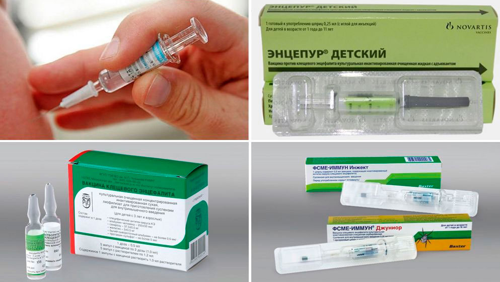 Как записаться на прививку от энцефалита