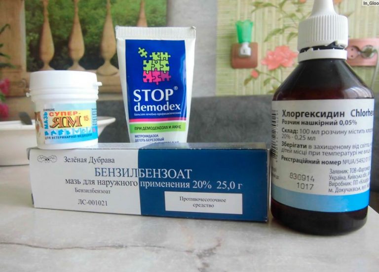 Подкожный клещ на лице: симптомы и лечение, народные средства