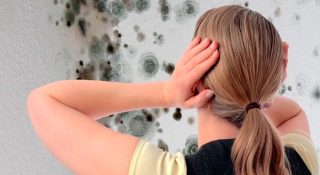 Плесень в квартире