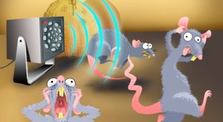 Ультразвуковой отпугиватель крыс и мышей