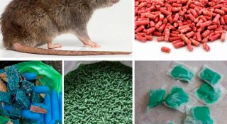 Крысиный яд