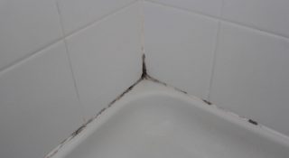 Плесень в ванной на швах плитки